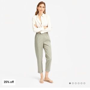 Everlane Sage Green Easy Chino